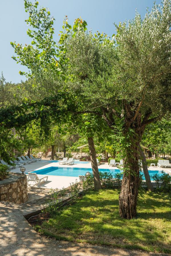 Olimpia Hotel Olympos Exterior foto